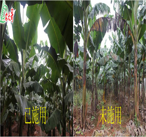 抗凍試驗(yàn)對比2